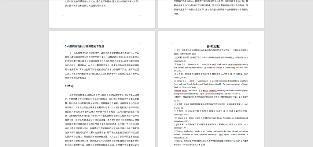 161-网球教学与训练中“网球肘”成因与预防的实验研究-锤锤工作室