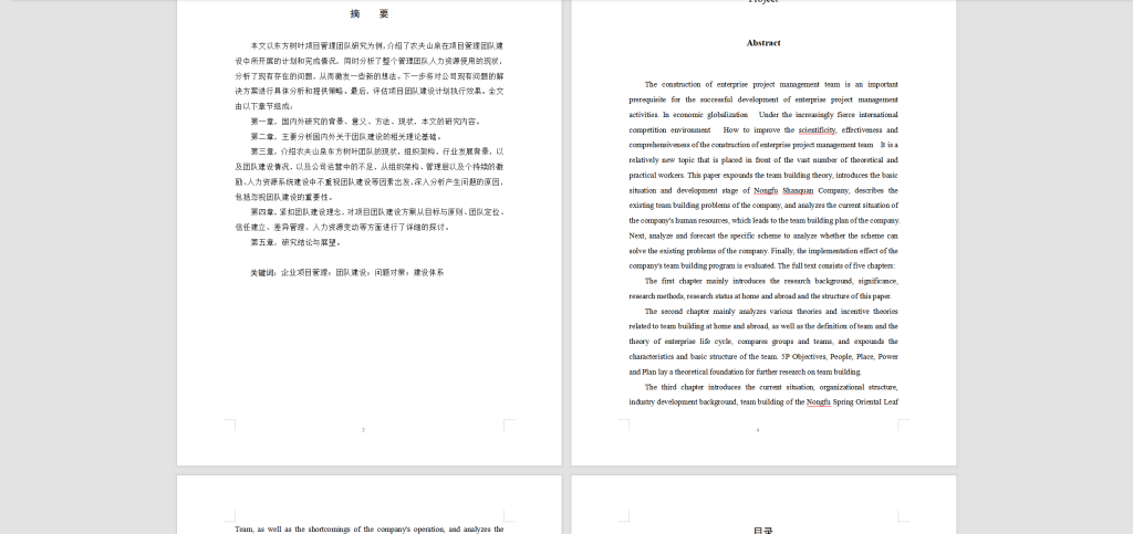 图片[9]-166-2农夫山泉东方树叶项目团队建设研究-锤锤工作室