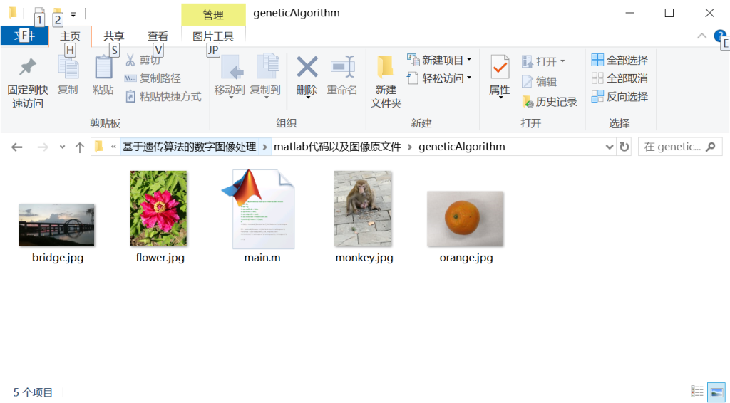 图片[9]-188-基于遗传算法的图像阈值分割-锤锤工作室
