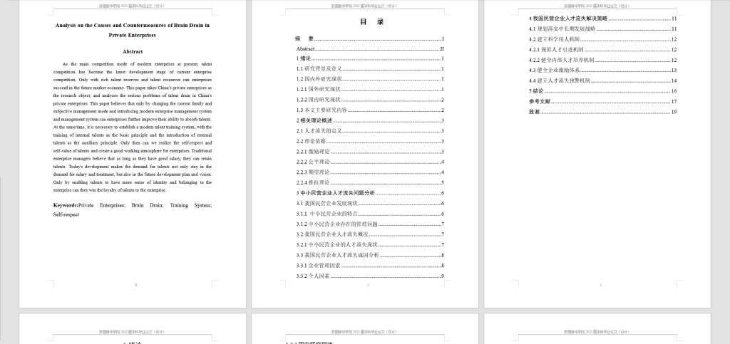 图片[3]-240-民营企业人才流失的原因与对策分析-锤锤工作室