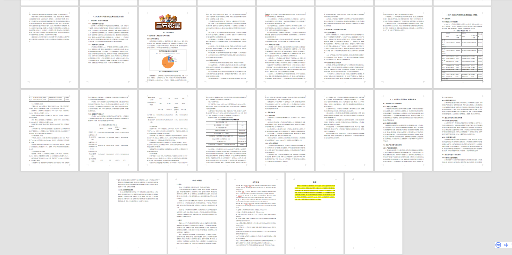 图片[6]-364【新华学院】三只松鼠股份有限公司国际化发展的成就与启示-锤锤工作室