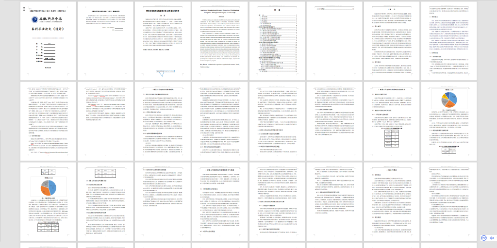 图片[3]-368【新华学院】跨国公司组织结构策略分析-以雀巢公司为例-锤锤工作室