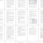 370【新华学院】中国手机的国际化经营模式研究-以华为手机为例（可写）-锤锤工作室