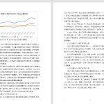 515【湖南工商大学】人民币汇率变动对中国进出口贸易的影响分析_管涛3.15-锤锤工作室