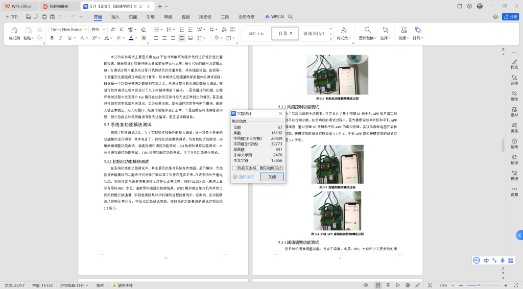 571【昭通学院】基于物联网的高原湿地监测系统-锤锤工作室