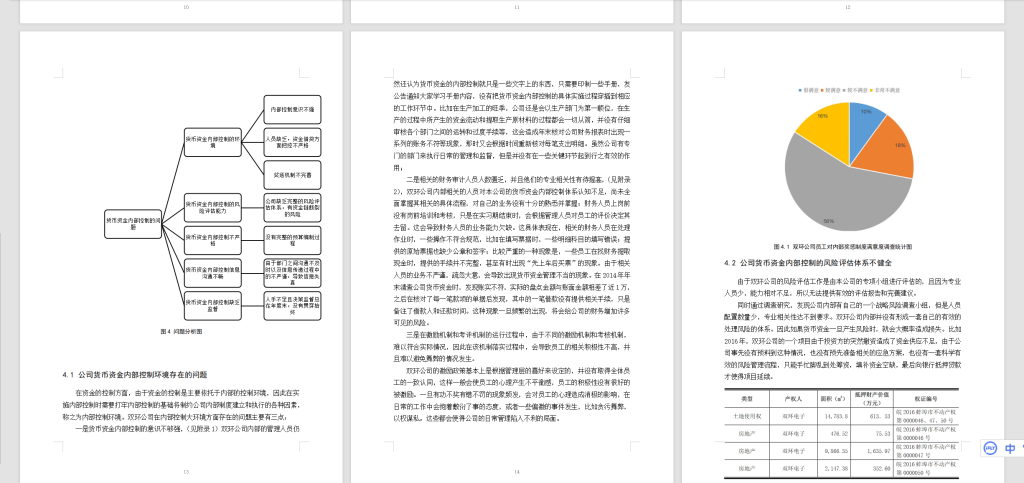 A37双环公司货币资金内部控制研究-锤锤工作室