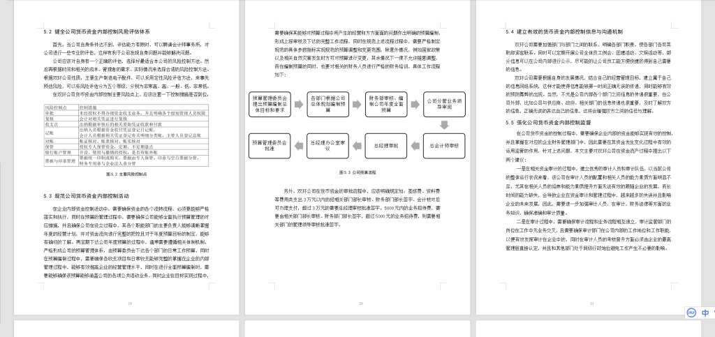 图片[2]-A37双环公司货币资金内部控制研究-锤锤工作室