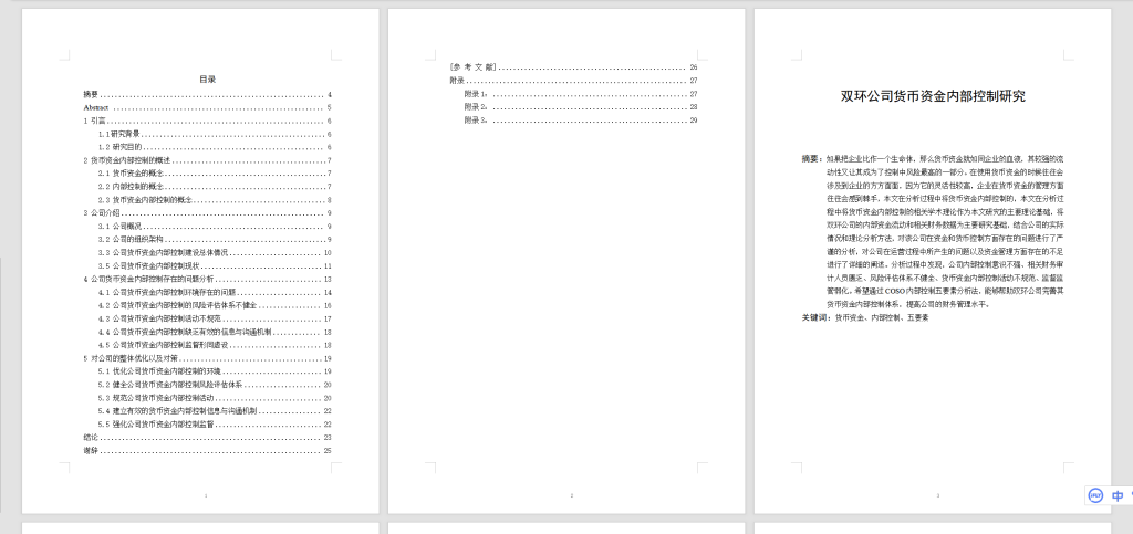 图片[3]-A37双环公司货币资金内部控制研究-锤锤工作室