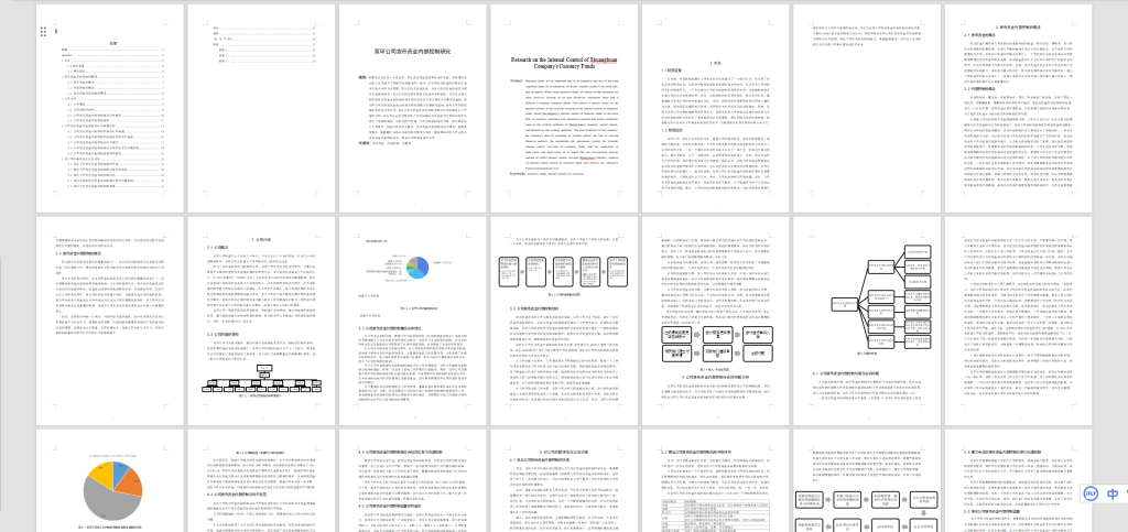 图片[8]-A37双环公司货币资金内部控制研究-锤锤工作室