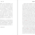 A41摩托车减震器系统设计-锤锤工作室