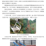 物料螺旋输送机及其控制系统设计-锤锤工作室