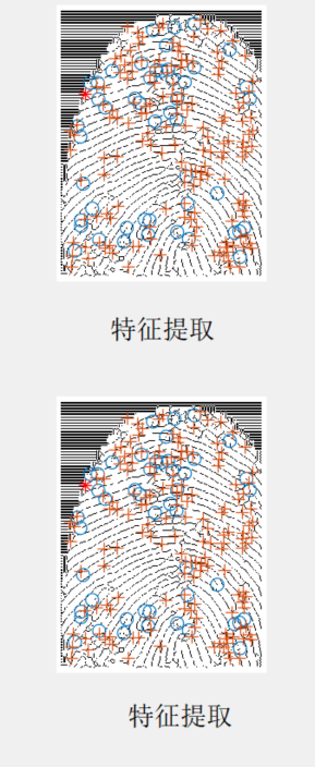 图片[5]-715基于 MATLAB的指纹图像识别系统【论文+MATLAB程序】-锤锤工作室